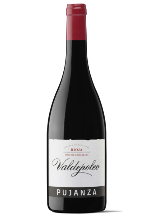 VALDEPOLEO HOME 2024